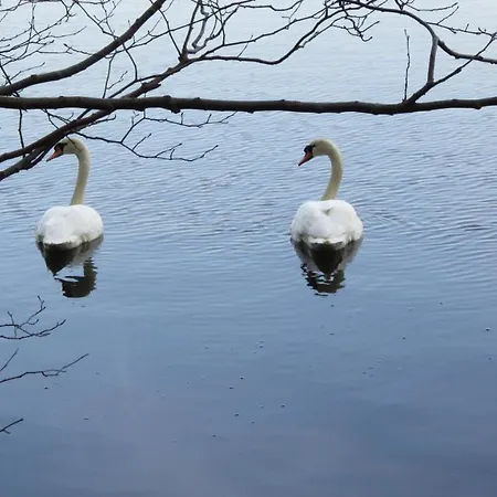 Fewo-filter-moelln * Molln